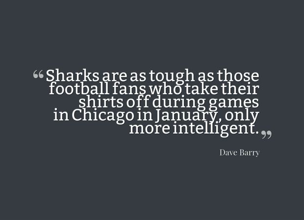 sharks quote